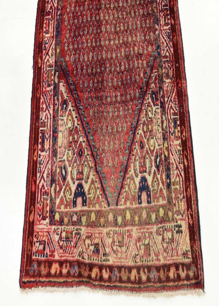 3' 5 x 10' Hand Knotted Botemir Persian Wool Runner Rug
