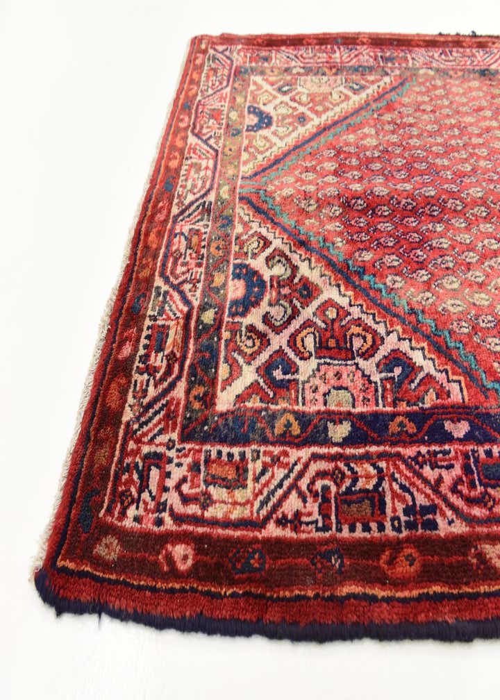 3' 5 x 10' Hand Knotted Botemir Persian Wool Runner Rug