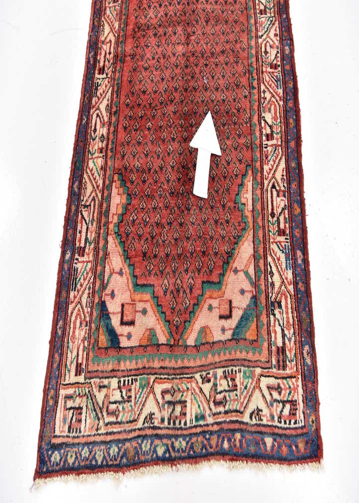 3' 5 x 10' 2 Hand Knotted Botemir Persian Wool Runner Rug