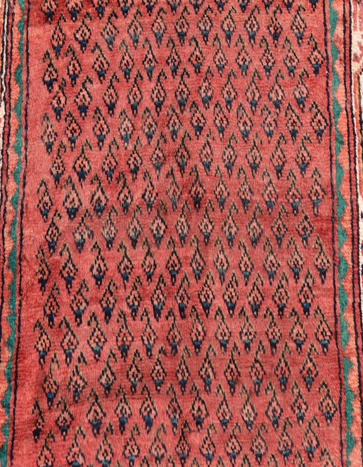 Detail image of 3' 5 x 10' 2 Hand Knotted Botemir Persian Wool Runner Rug