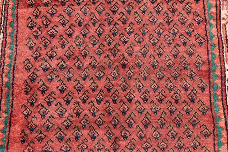 Detail image of 3' 5 x 10' 2 Hand Knotted Botemir Persian Wool Runner Rug