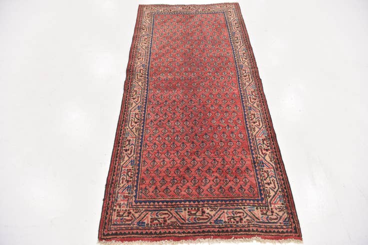 Detail image of 3' 4 x 7' 2 Hand Knotted Botemir Persian Wool Runner Rug