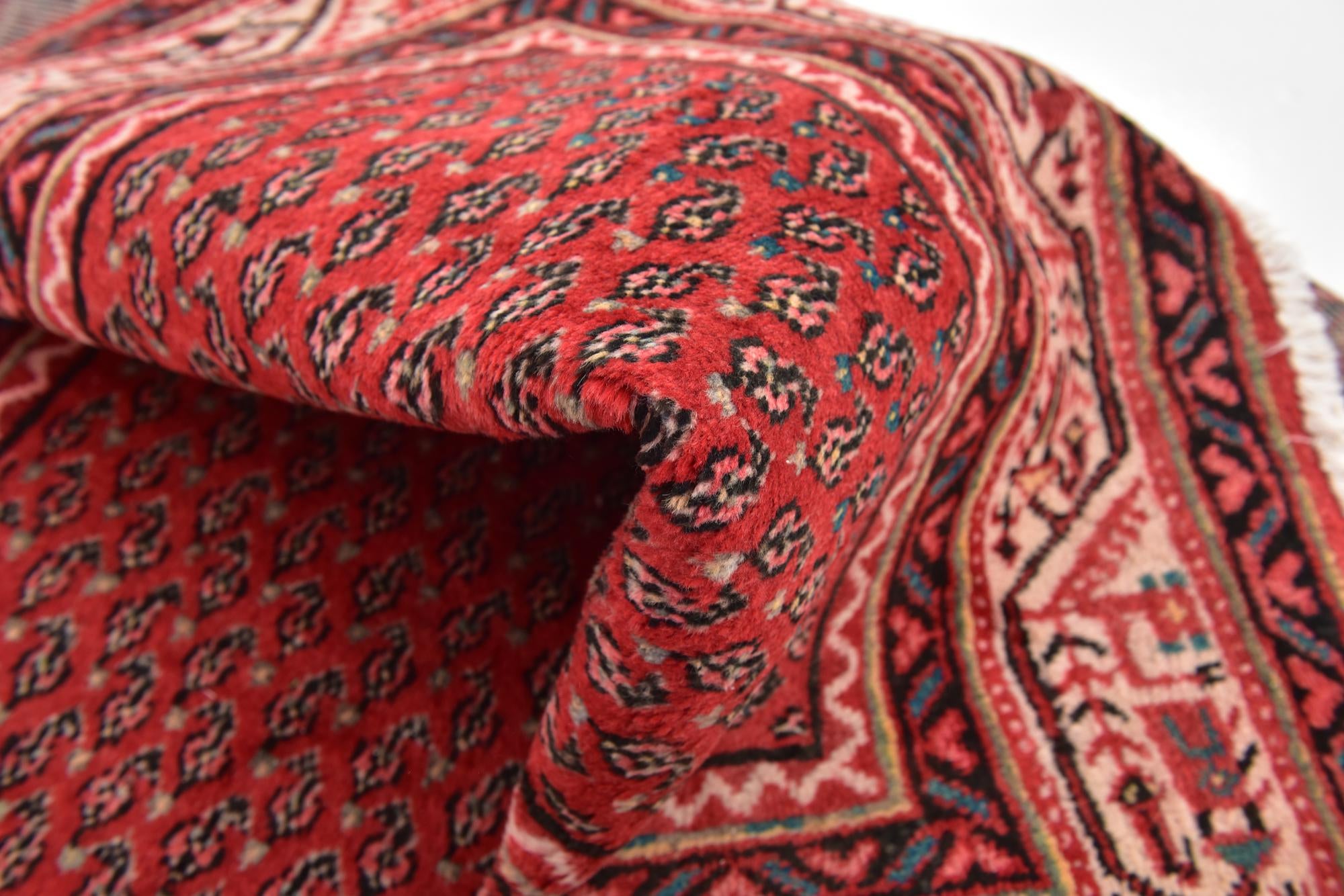 3' 6 x 10' 3 Hand Knotted Botemir Persian Wool Runner Rug