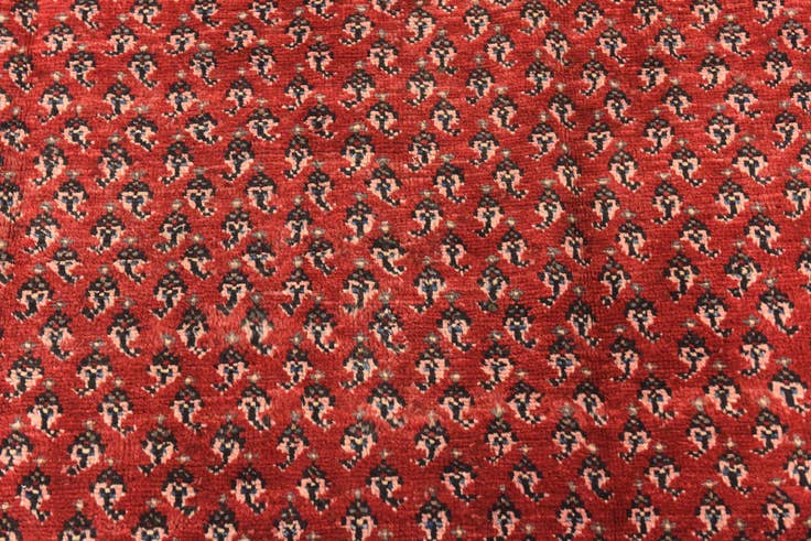 Detail image of 4' 3 x 10' 8 Hand Knotted Botemir Persian Wool Runner Rug