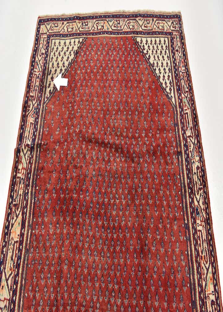 4' 10 x 9' 6 Hand Knotted Botemir Persian Wool Runner Rug
