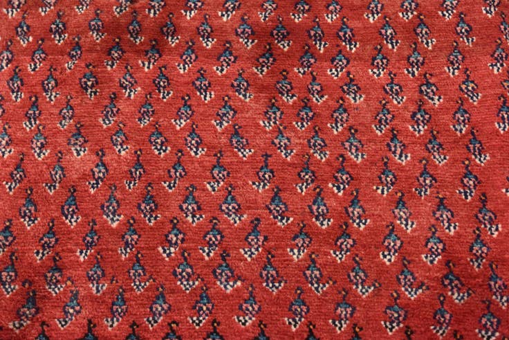 Detail image of 4' 10 x 9' 6 Hand Knotted Botemir Persian Wool Runner Rug