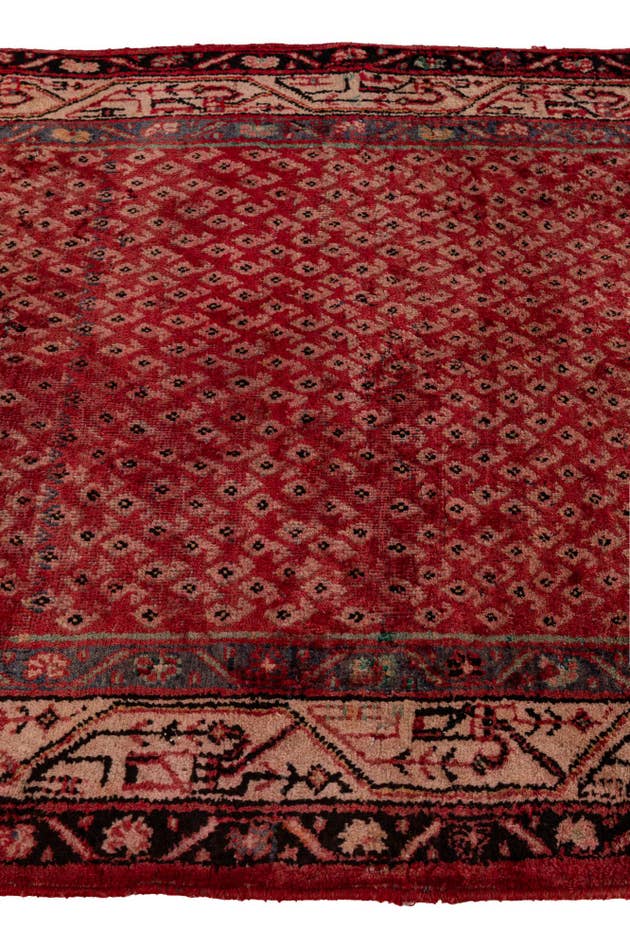 Detail image of 3' 6 x 10' 8 Hand Knotted Botemir Persian Wool Runner Rug