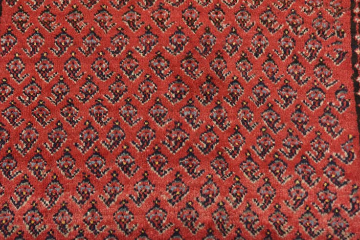 Detail image of 3' 6 x 10' 7 Hand Knotted Botemir Persian Wool Runner Rug