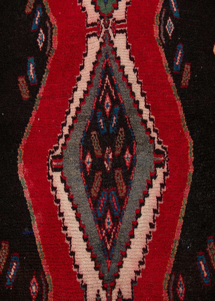 3' 2 x 10' 5 Hand Knotted Chenar Persian Wool Runner Rug