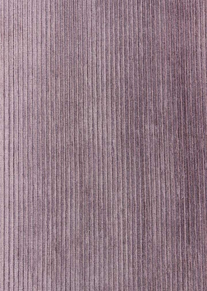 2' 7 x 13' 1 Darya Runner Rug