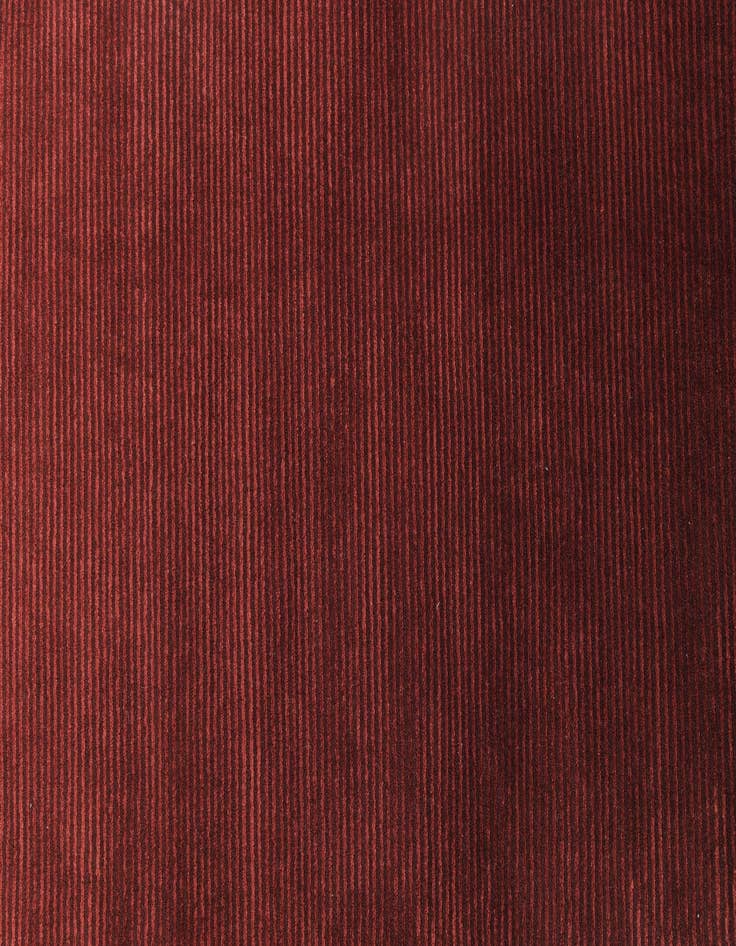 Detail image of 2' 7 x 13' 7 Darya Runner Rug