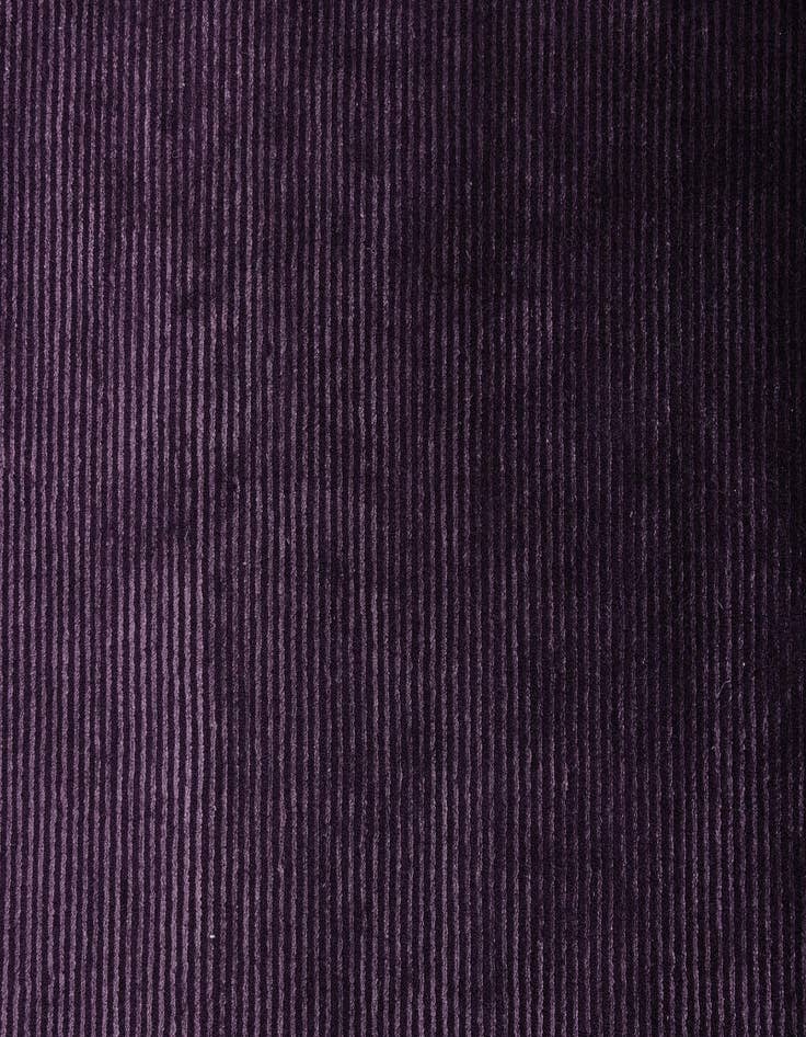 Detail image of 2' 8 x 13' 4 Darya Runner Rug