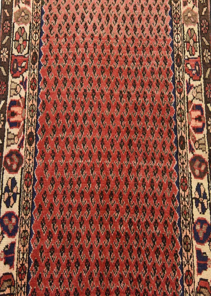 3' 8 x 9' 9 Hand Knotted Hamedan Persian Wool Runner Rug
