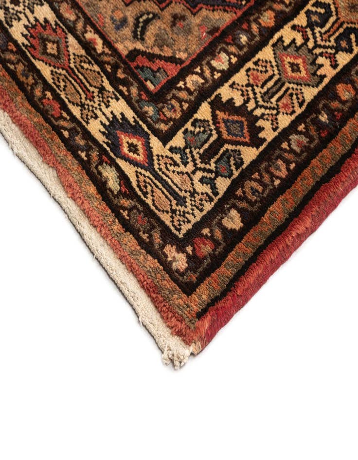 Detail image of 3' 5 x 12' 10 Hamedan Wool Runner Rug