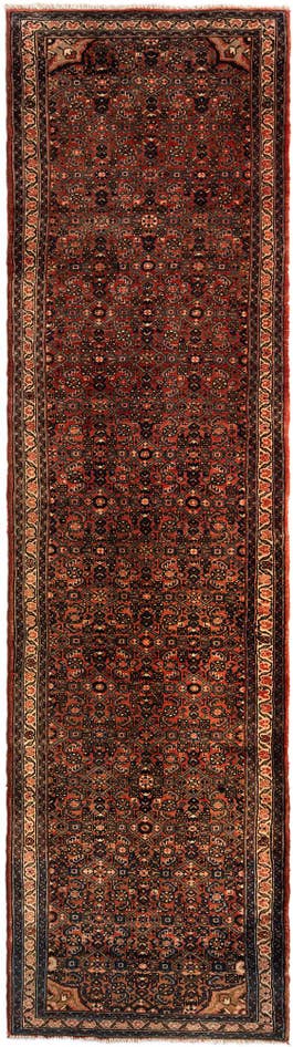 Detail image of 3' 4 x 14' 2 Hamedan Wool Runner Rug