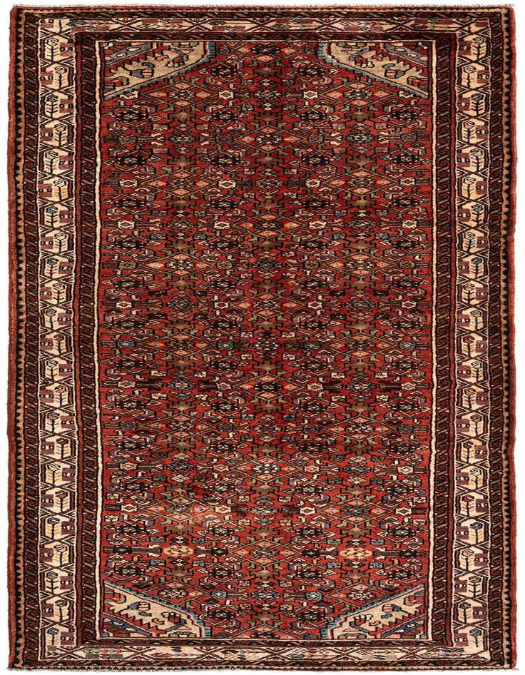 Detail image of 3' 5 x 9' 8 Hamedan Wool Runner Rug