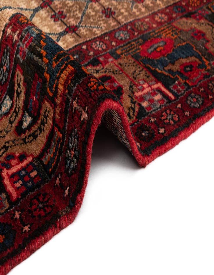 Detail image of 5' 4 x 14' 10 Hamedan Wool Runner Rug