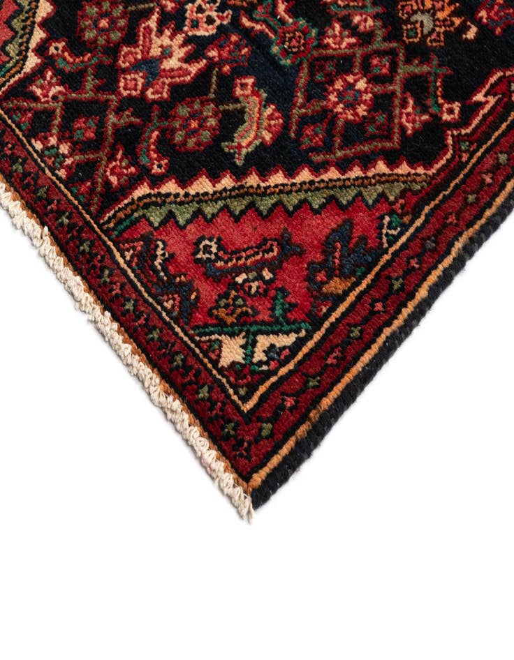 Detail image of 2' 7 x 9' 4 Hamedan Wool Runner Rug