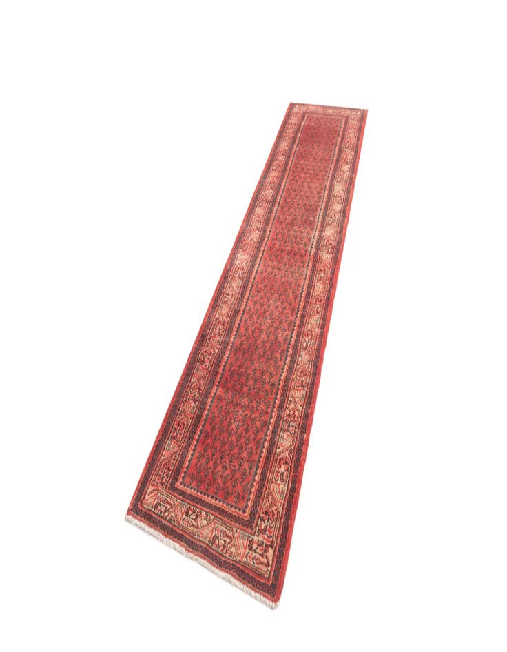 Detail image of 2' 8 x 12' Hamedan Runner Rug