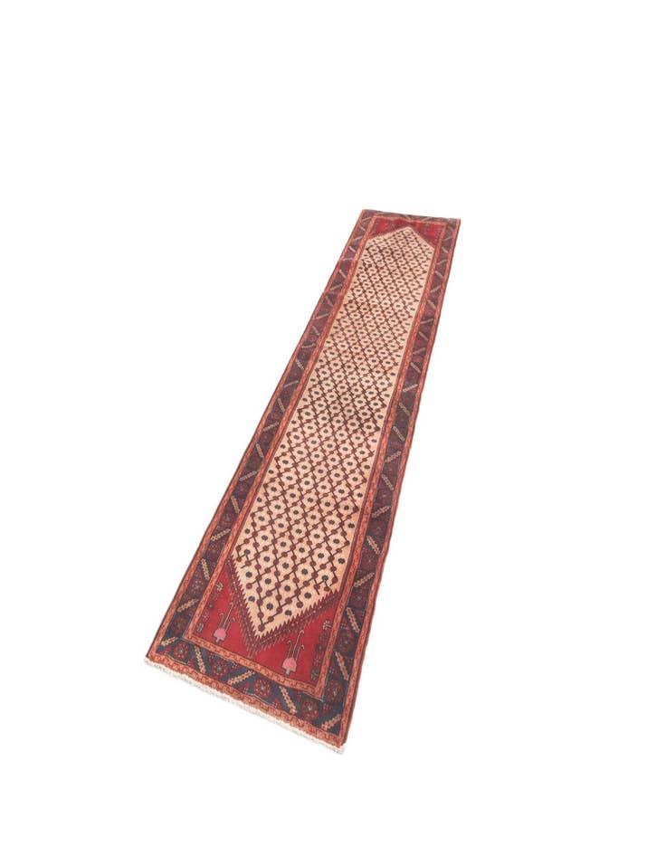 Detail image of 3' 1 x 11' 9 Hamedan Runner Rug