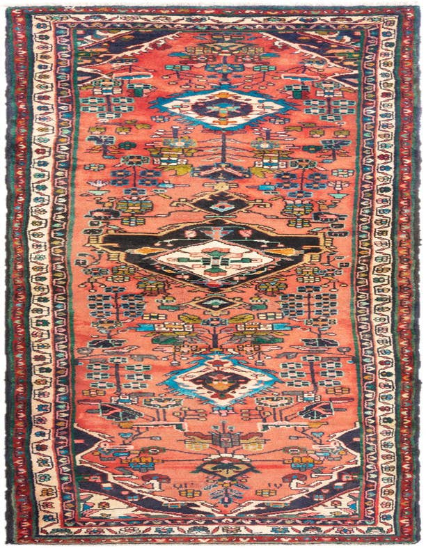 Detail image of 3' 5 x 9' 11 Hamedan Runner Rug