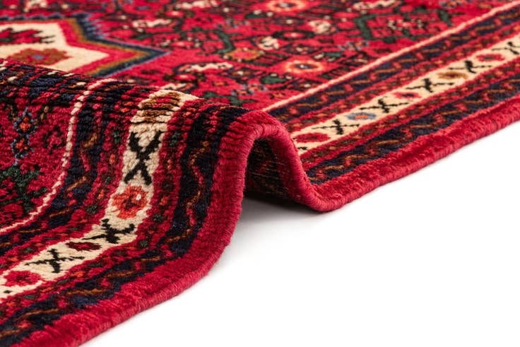 Detail image of 2' 7 x 9' 10 Hamedan Runner Rug