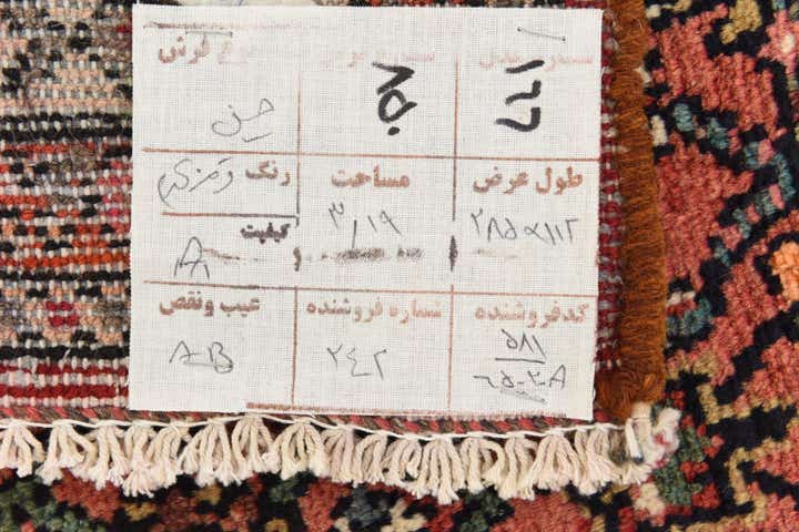 3' 10 x 9' 6 Hand Knotted Hossainabad Persian Wool Runner Rug