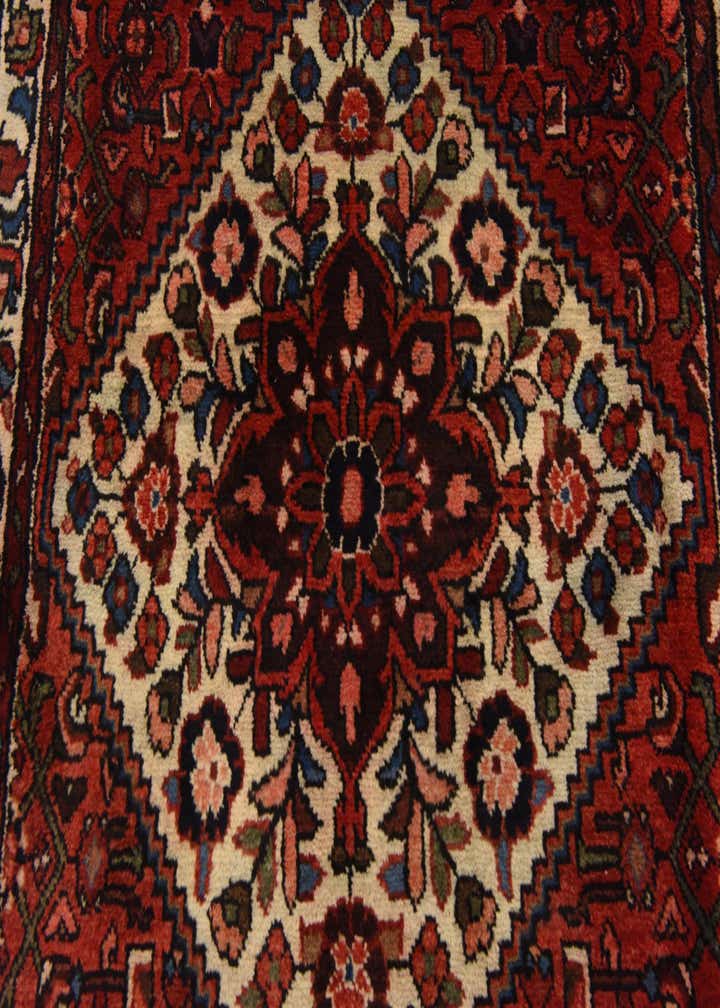 3' 10 x 10' 2 Hand Knotted Hossainabad Persian Wool Runner Rug