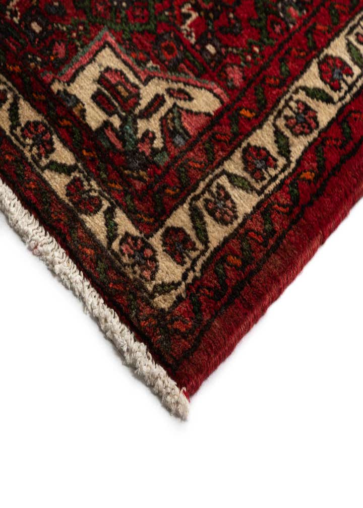 3' x 15' 9 Hossainabad Wool Runner Rug