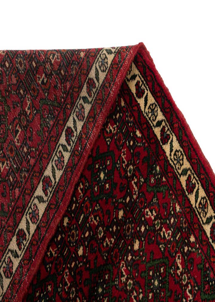 3' x 15' 9 Hossainabad Wool Runner Rug