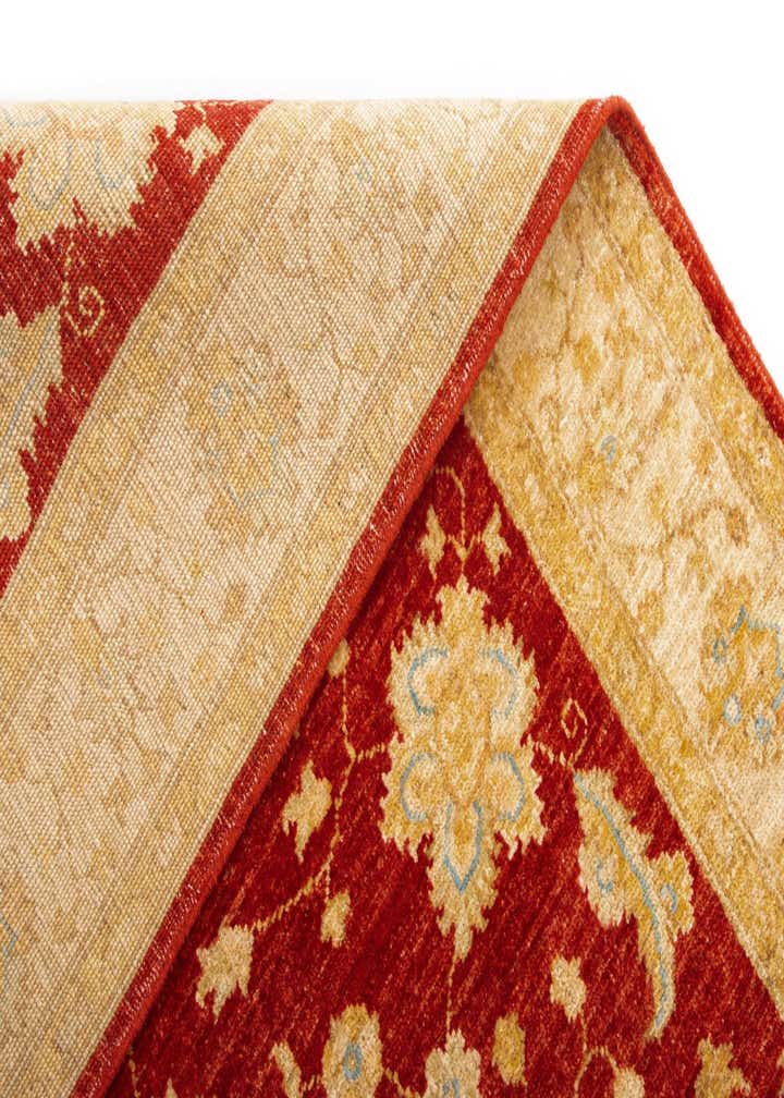 4' x 11' 7 Kaizar Wool Runner Rug