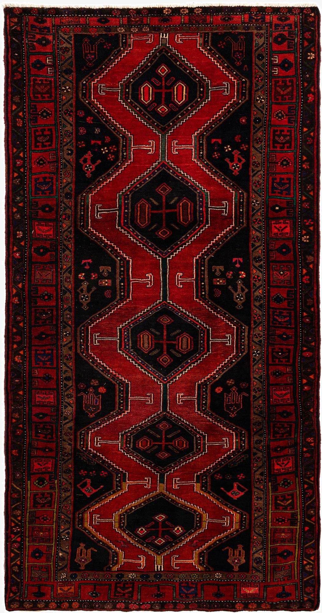 5' 6 x 10' 7 Koliaei Wool Runner Rug