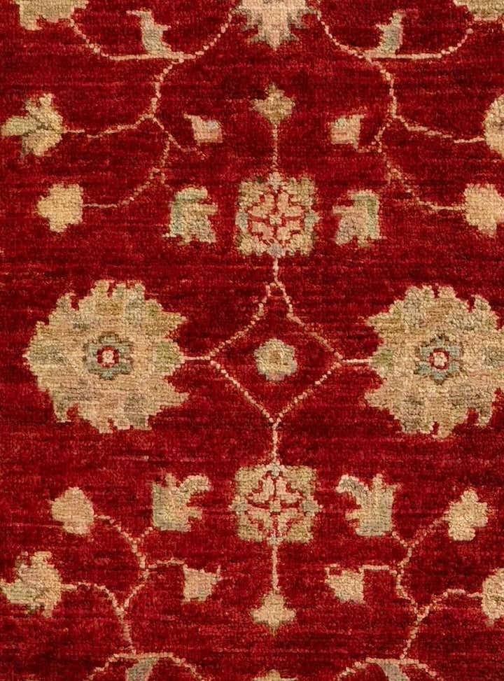 2' 8 x 8' 8 Hand Knotted Pershawar Ziegler Runner Rug
