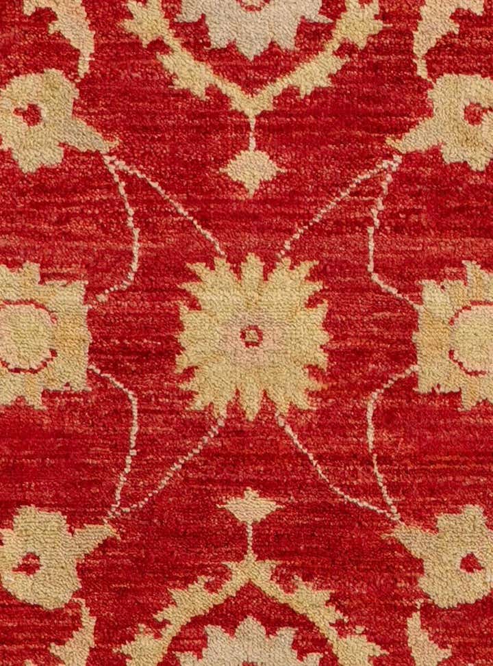 2' 6 x 9' 11 Hand Knotted Pershawar Ziegler Runner Rug