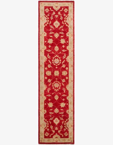 2' 6 x 9' 11 Hand Knotted Pershawar Ziegler Runner Rug