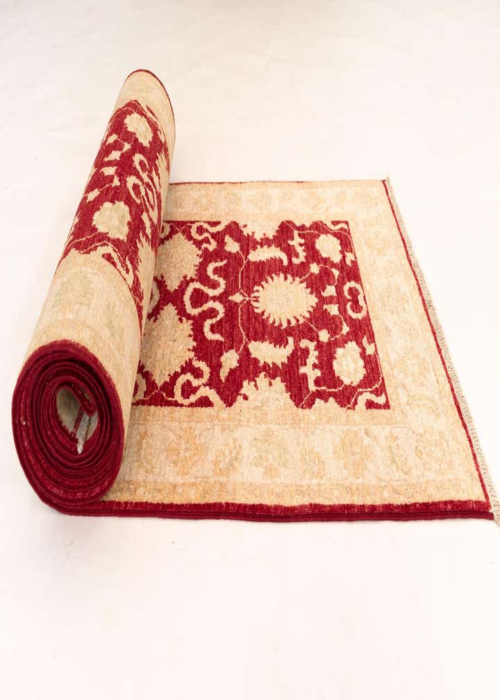 2' 5 x 14' 8 Peshawar Ziegler Wool Runner Rug