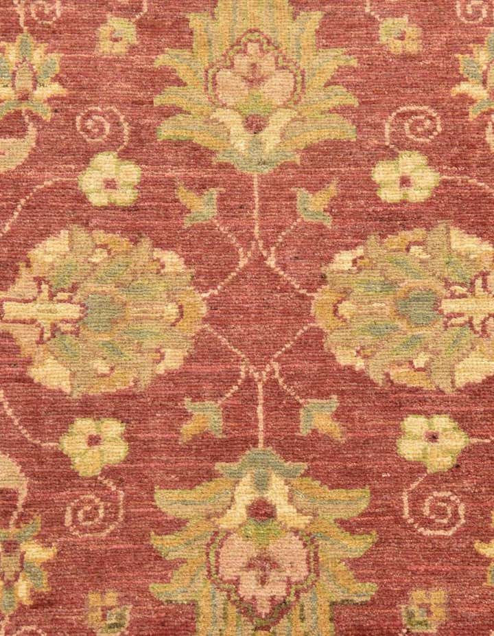 2' 10 x 9' 8 Peshawar Ziegler Runner Rug