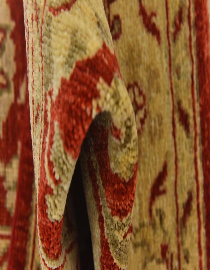 Detail image of 2' 7 x 9' 8  Hand Knotted Peshawar Ziegler Runner Rug