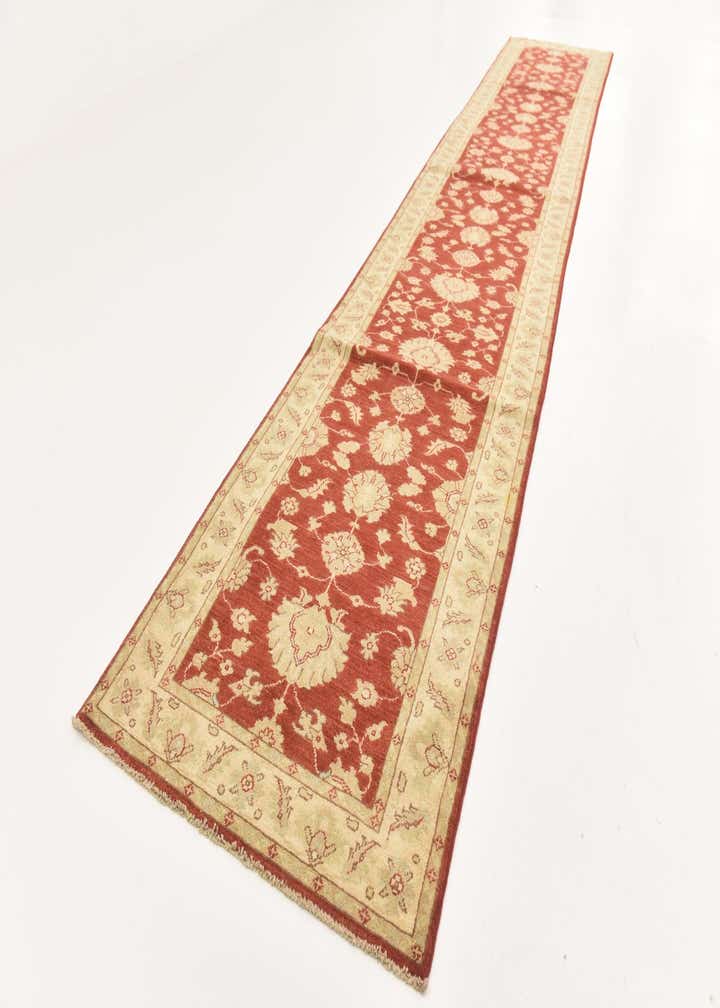 3' x 16' 7 Hand Knotted Peshawar Ziegler Runner Rug