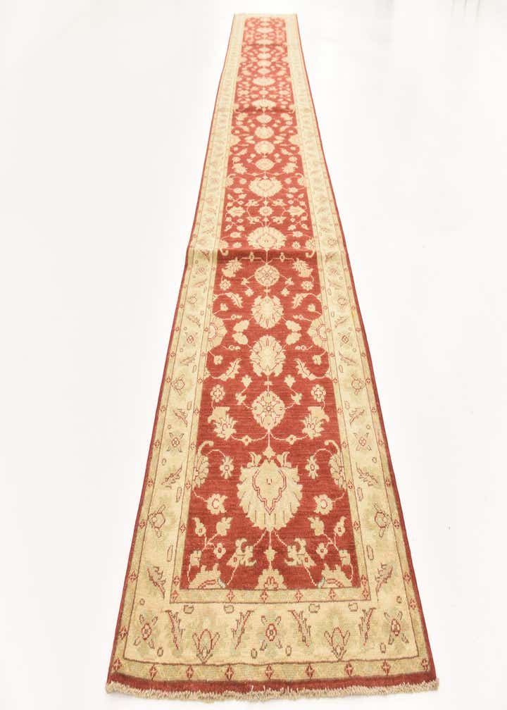 3' x 16' 7 Hand Knotted Peshawar Ziegler Runner Rug
