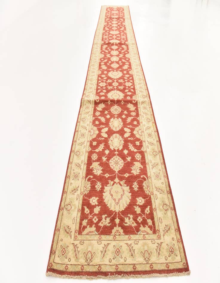 Detail image of 3' x 16' 7 Hand Knotted Peshawar Ziegler Runner Rug