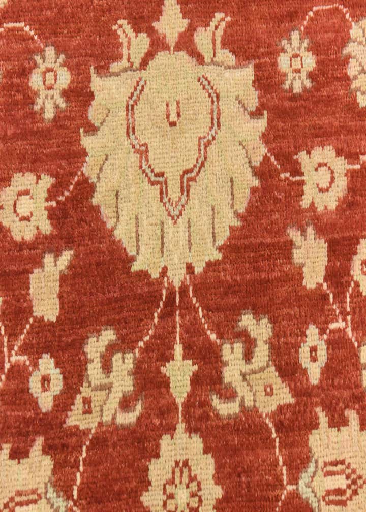 3' x 16' 7 Hand Knotted Peshawar Ziegler Runner Rug