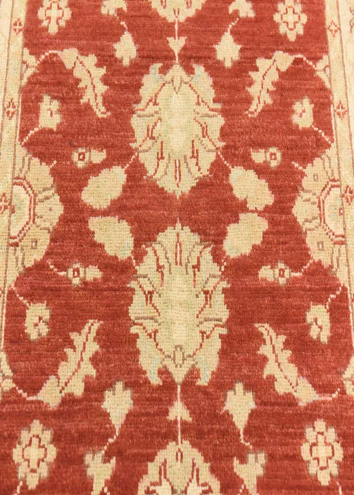 3' x 16' 7 Hand Knotted Peshawar Ziegler Runner Rug