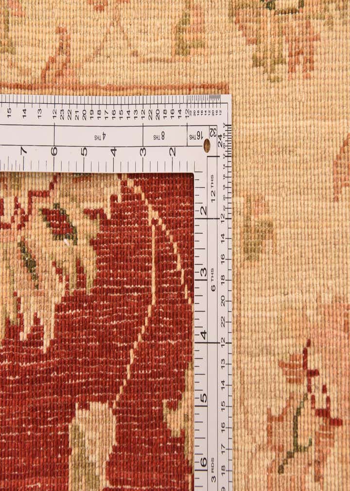 4' 1 x 9' 5 Hand Knotted Peshawar Ziegler Runner Rug