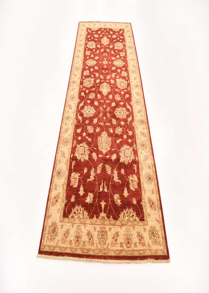 4' 1 x 9' 5 Hand Knotted Peshawar Ziegler Runner Rug