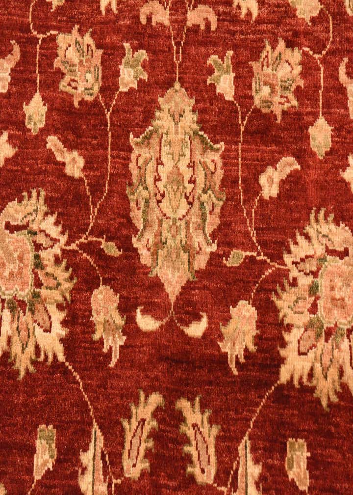 4' 1 x 9' 5 Hand Knotted Peshawar Ziegler Runner Rug