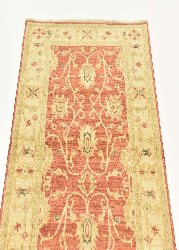 2' 9 x 9' 3 Hand Knotted Peshawar Ziegler Runner Rug