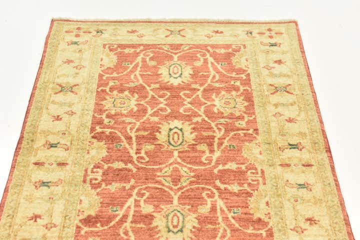 2' 9 x 9' 3 Hand Knotted Peshawar Ziegler Runner Rug