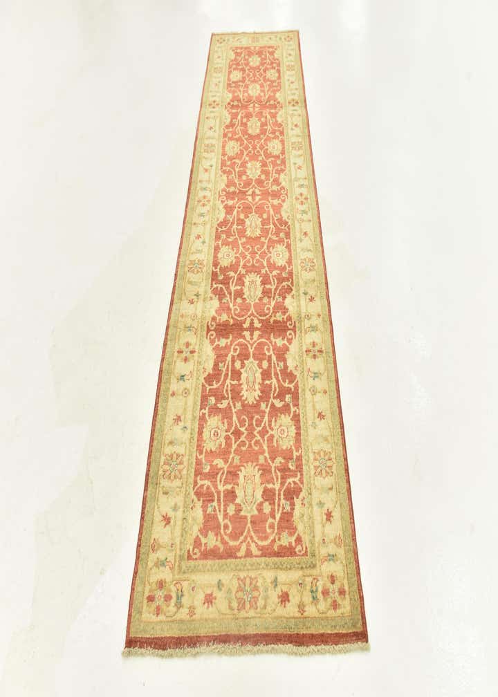 2' 9 x 9' 8 Hand Knotted Peshawar Ziegler Runner Rug