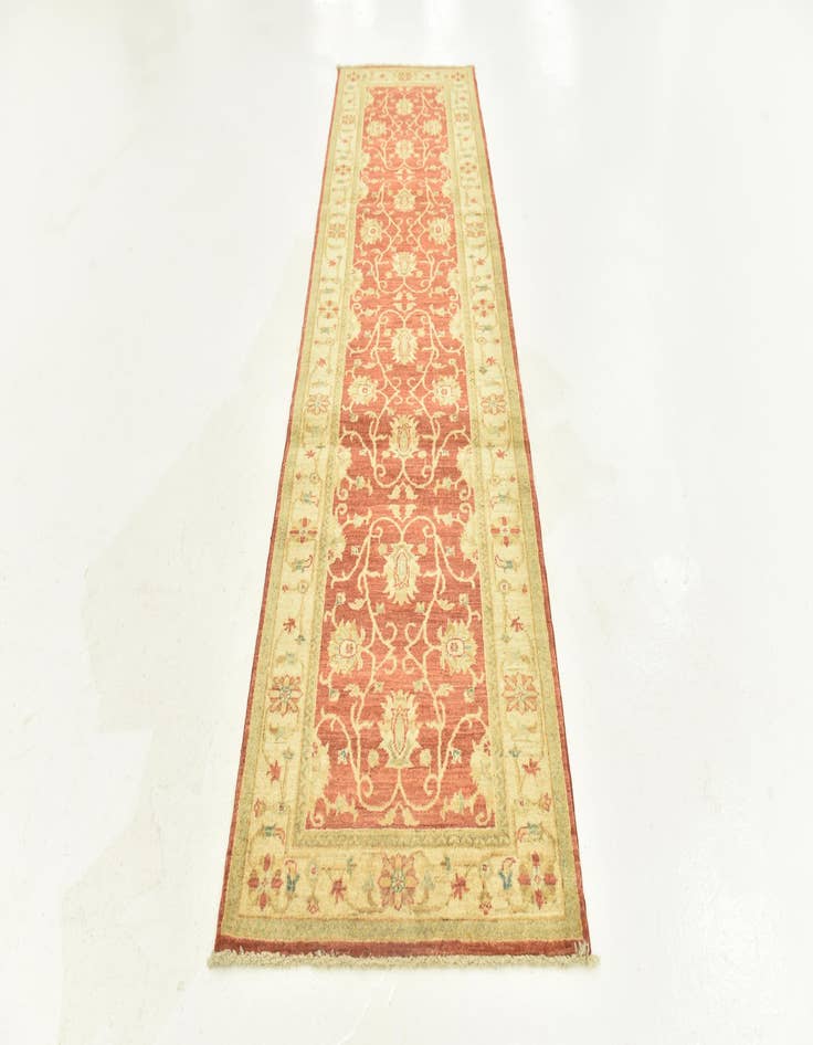 Detail image of 2' 9 x 9' 9  Hand Knotted Peshawar Ziegler Runner Rug